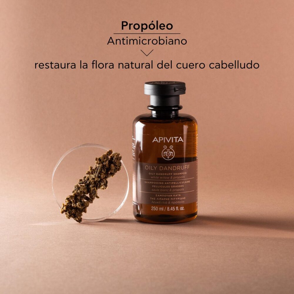 SHAMPOO CONTRA LAS CASPAS GRASAS 250ML